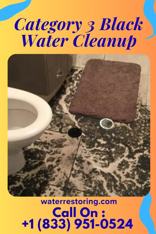 Category 3 Black Water Cleanup in Frankfort, KS