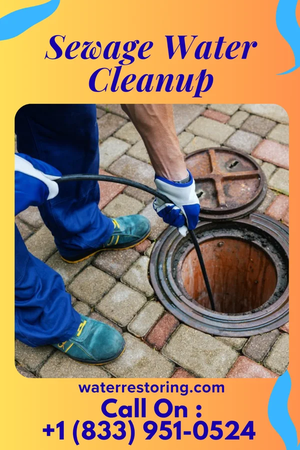 Sewage Water Cleanup in Frankfort, KS